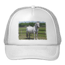 Arab Horse Baseball Hat