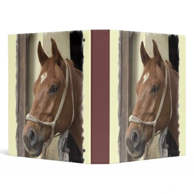 Arab Horse Binder by HorseStall