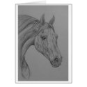 arab horse cards