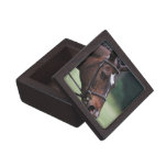 Arab Horse Gift Box Premium Trinket Boxes