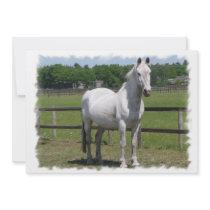 Arab Horse Invitation