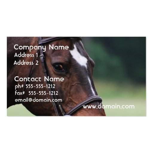 Arab Horse with White on Face Business Card (front side)