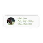 Arab Horse with White on Face Mailing Label