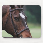 Arab Horse with White on Face Mousepad