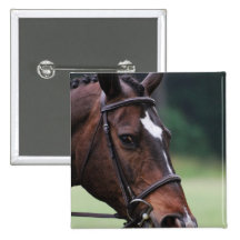 Arab Horse with White on Face Pin