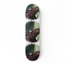 Arab Horse with White on Face Skateboard