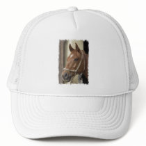 Arab Horses Baseball Hat