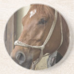 Arab Horses Coasters