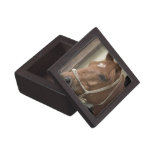 Arab Horses Gift Box Premium Jewelry Boxes