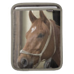 Arab Horses iPad Sleeve