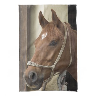 Arab Horses Kitchen Towel by HorseStall
