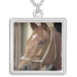 Arab Horses Necklace