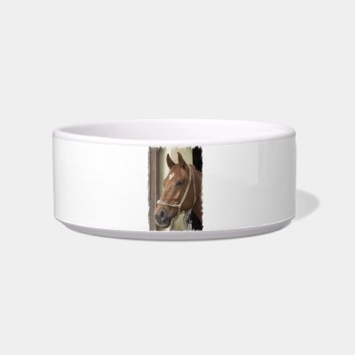 Arab Horses Pet Bowl Cat Water Bowl by HorseStall