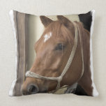 Arab Horses Pillow