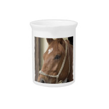 Arab Horses Pitcher