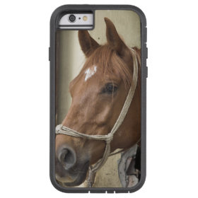 Arab Horses Tough Xtreme iPhone 6 Case