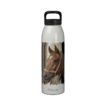Arab Horses Water Bottle