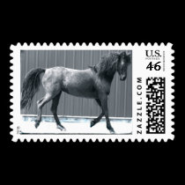 Arab Prance Stamps