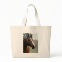 Arabian at Pasture Bags