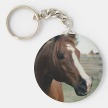 Arabian at Pasture Key Chains