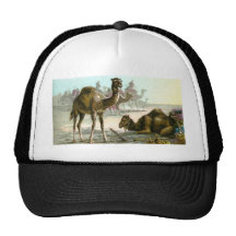 Arabian Camel Mesh Hats