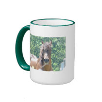 Arabian Distinguished Gentleman Photo-1 mugs by FrankzPawPrintz Arabian Distinguished Gentleman Photo-1 mugs