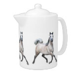 Arabian Horse - Alia