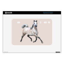 Arabian Horse - Alia Decal For Motorola XOOM