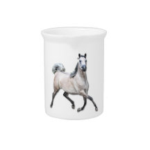 Arabian Horse - Alia Pitchers