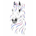 Arabian Horse Art t-shirts