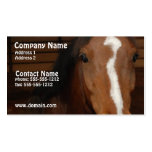 Arabian Horse Business Card