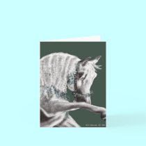Arabian Horse- Card cards