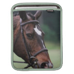 Arabian Horse iPad Sleeve