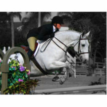 Arabian Horse Jumping Photo Cut Outs