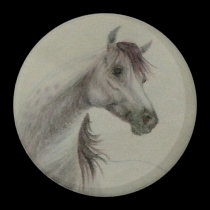 Arabian Horse Magnet magnets