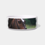 Arabian Horse Pet Bowl Cat Food Bowl