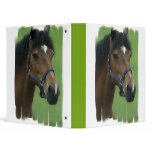 Arabian Horse Picture Binder
