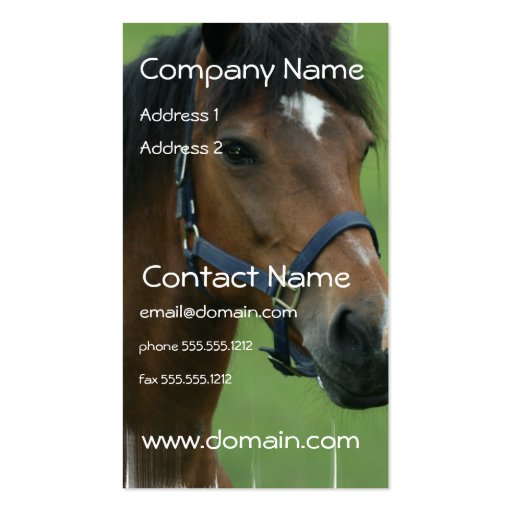 Arabian Horse Pictures Business Card