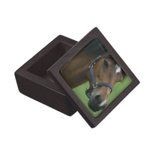 Arabian Horse Pictures Gift Box Premium Keepsake Box