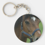Arabian Horse Pictures Keychain