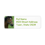 Arabian Horse Pictures Return Address Label
