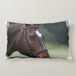 Arabian Horse Pillow