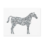 ARABIAN HORSE POSTCARD