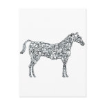 ARABIAN HORSE POST CARDS