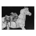 Arabian Horse Spirit Drawing by Kelli Swan cards