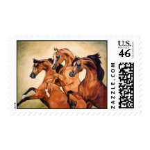 arabian horse stamp