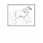 Arabian Horse T-shirt