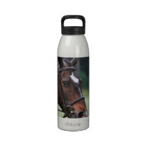Arabian Horse Water Bottle