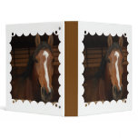 Arabian Horses Binder