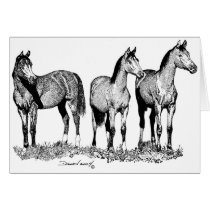 Arabian Horses Card